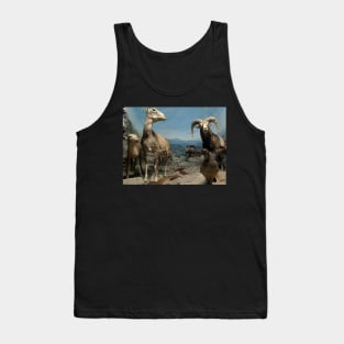 Natural environment diorama - steinbocks Tank Top